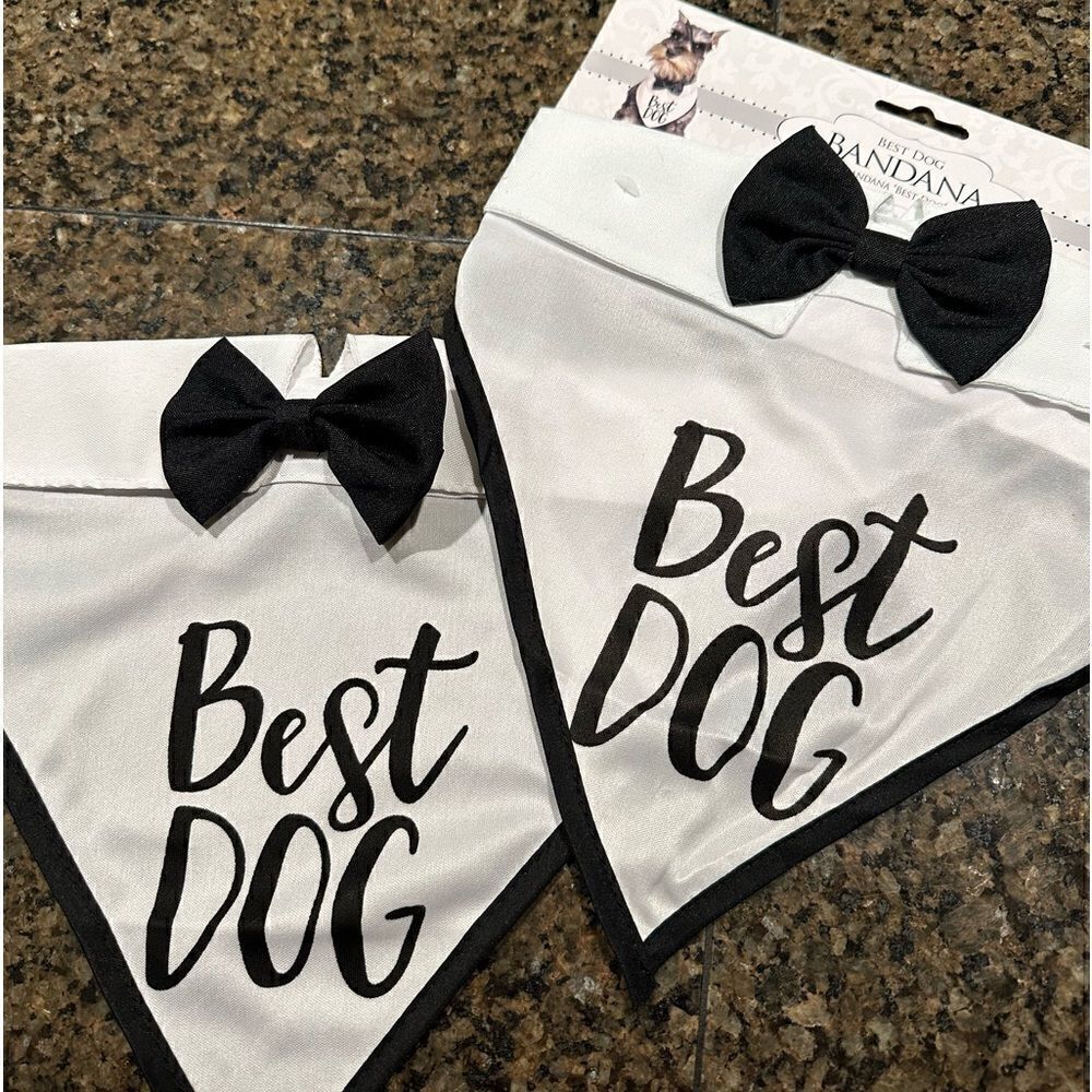 Pair of best dog bandannas.